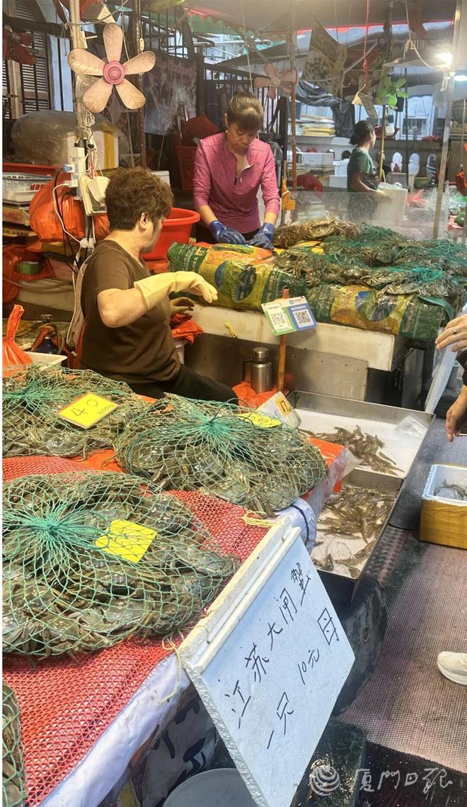 冲29℃！厦门升温时间就在……pg模拟器电脑版即将反转！直(图2)